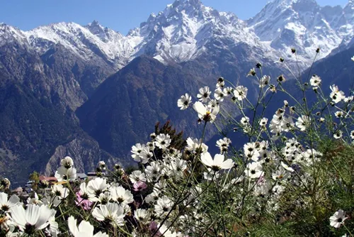 Kinnaur Spiti Valley with Manali