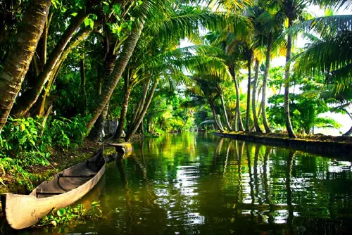 Serene Kerala backwaters with a traditional canoe amidst lush palm trees and reflections.
