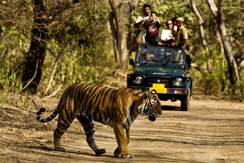 Nainital Mussuurie Jim-Corbett 
